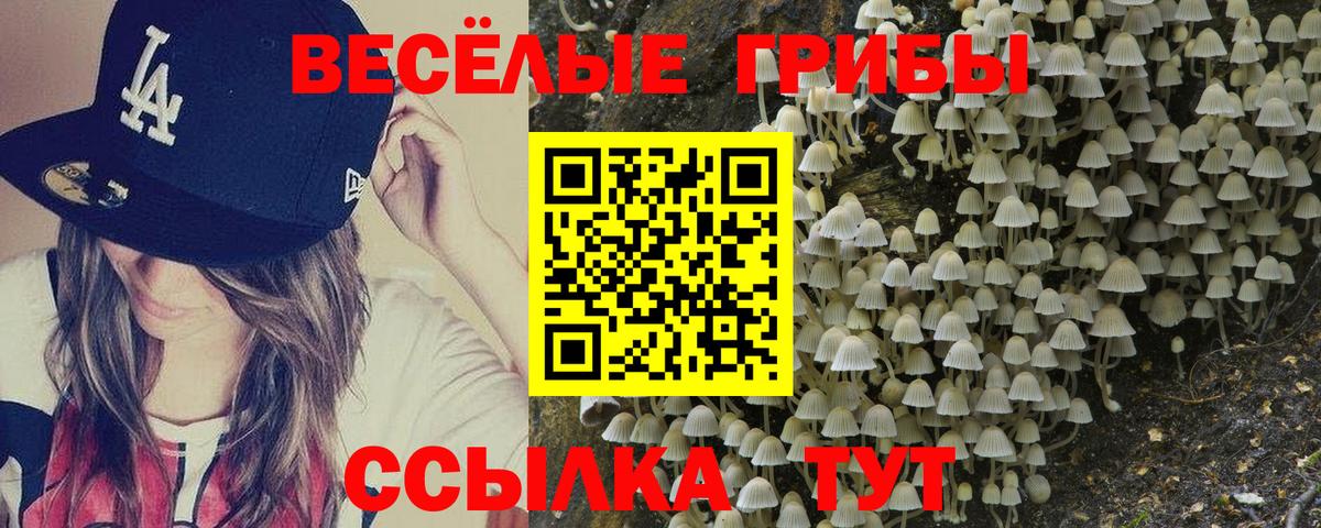 Псилоцибиновые грибы мухоморы Прохладный