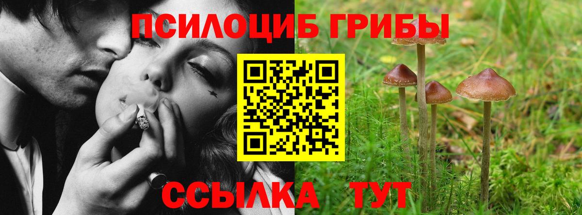 Псилоцибиновые грибы прущие грибы  цена   Прохладный  Псилоцибиновые грибы Magic Shrooms  Вход с VPN 